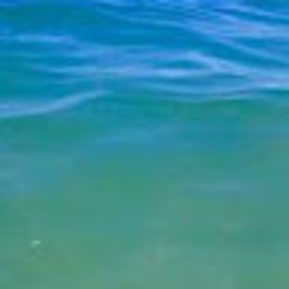 Meet your Posher, Carrie - Picture 1 of 1